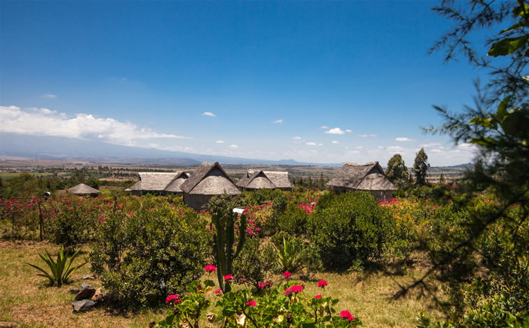 rhinowatchlodge