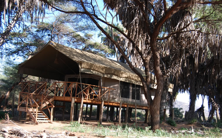 elephant bedroom camp