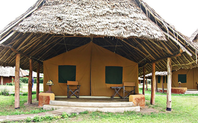 flamingo hill tented camp