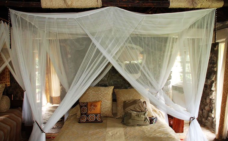 flamingo hill tented camp