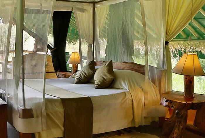 kibo safari camp