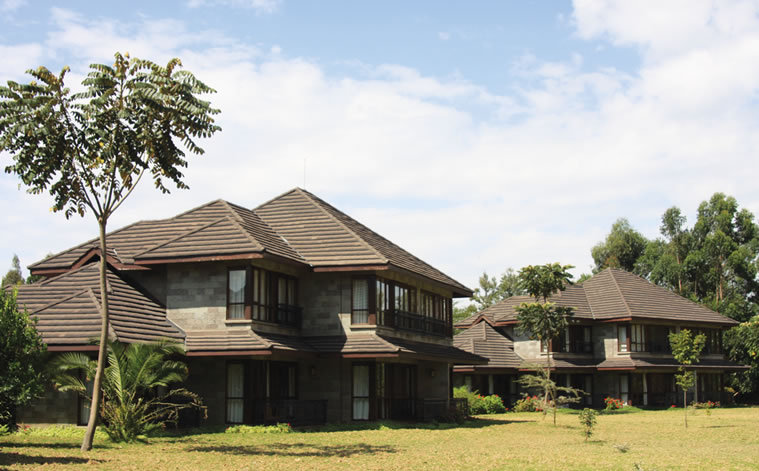 lake naivasha simba lodge