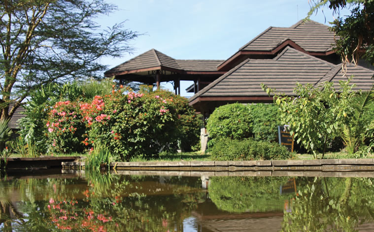 lake naivasha simba lodge