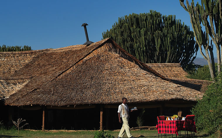 mweha safari camp