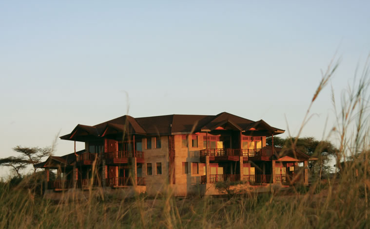 samburu simba lodge
