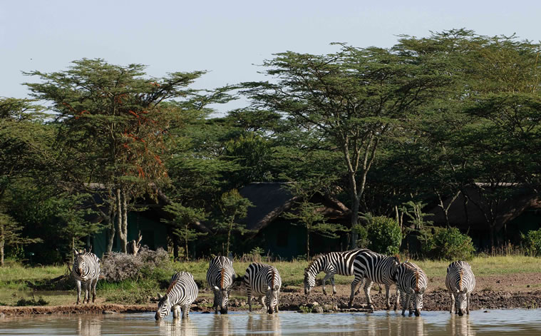 sweetwaters serena camp