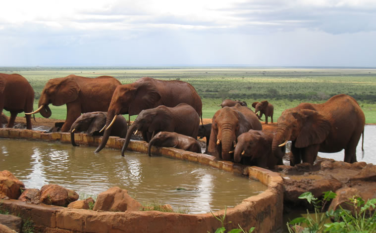 voi safari lodge tsavo